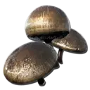 Aggeravic Mushroom (Aberration)