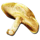 Auric Mushroom (Aberration)