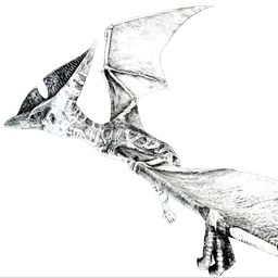 Pteranodon